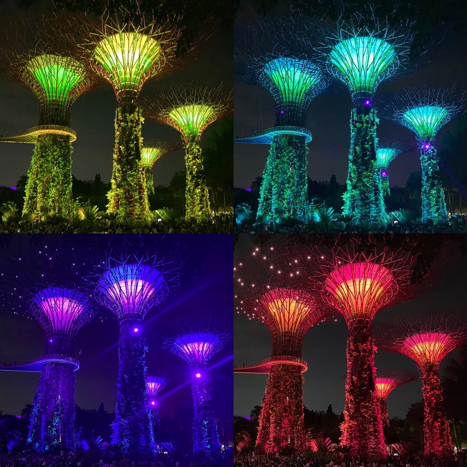 Photo of Garden Rhapsody light show