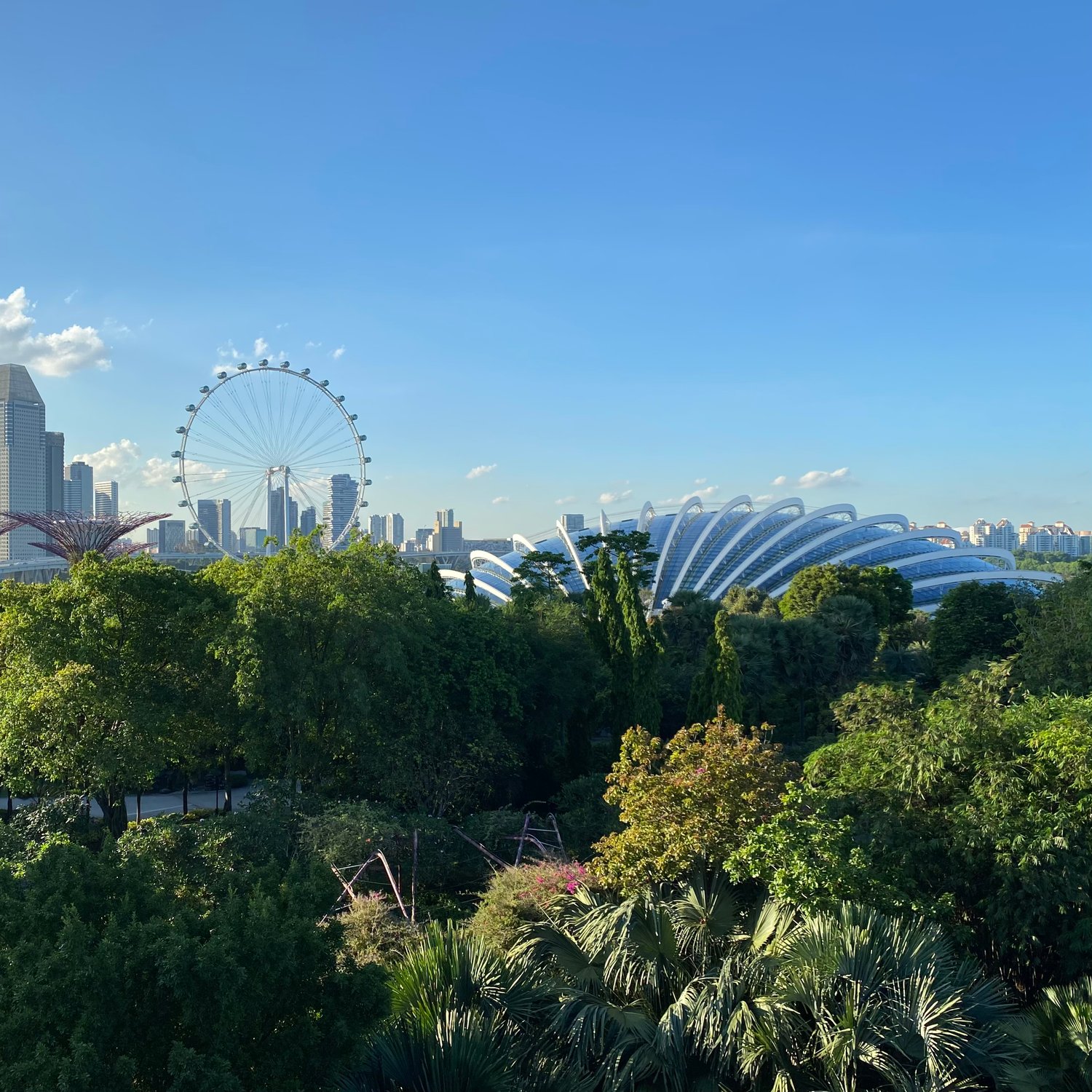 Photo of View from OCBC Skyway
