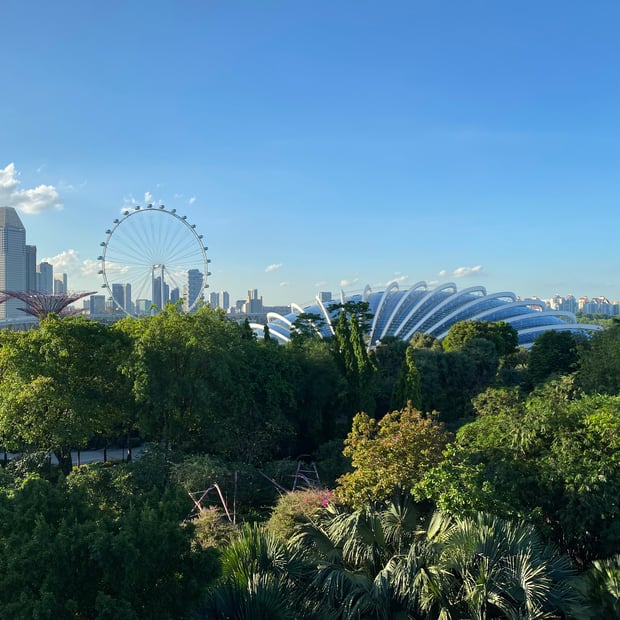 Photo of View from OCBC Skyway