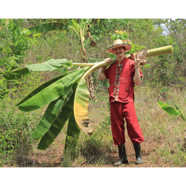Photo of Moving the banana tree