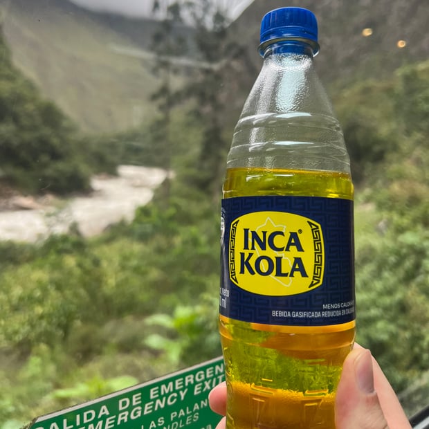 Photo of Inca Kola (unique bubblegum flavored soda)