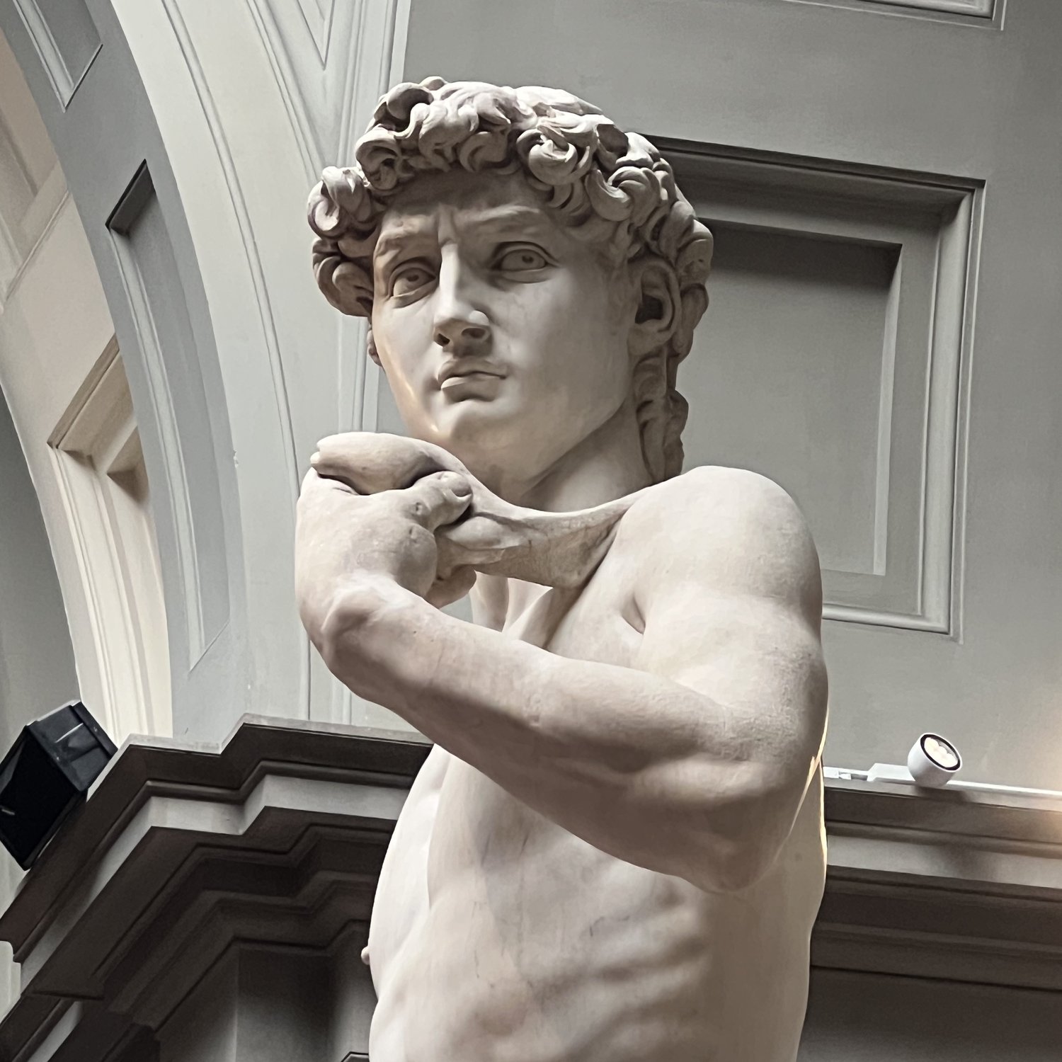 Photo of Face of David