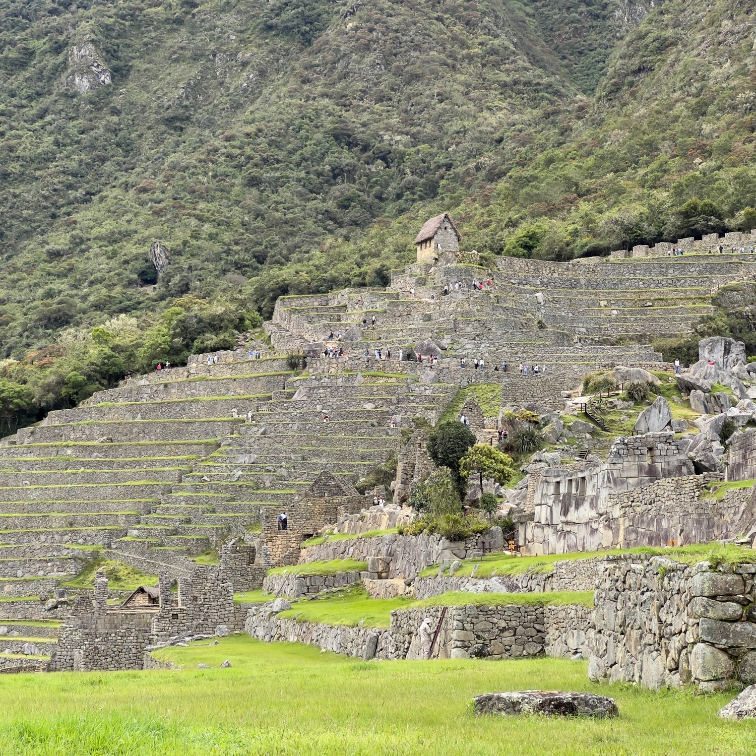 Photo of Agricultural terraces from afar