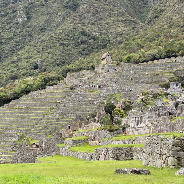 Photo of Agricultural terraces from afar