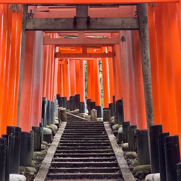 Photo of Tunnel of Torii gates