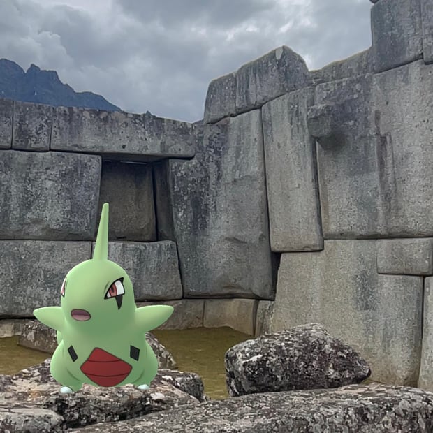 Photo of Larvitar enjoying the perfectly cut rocks