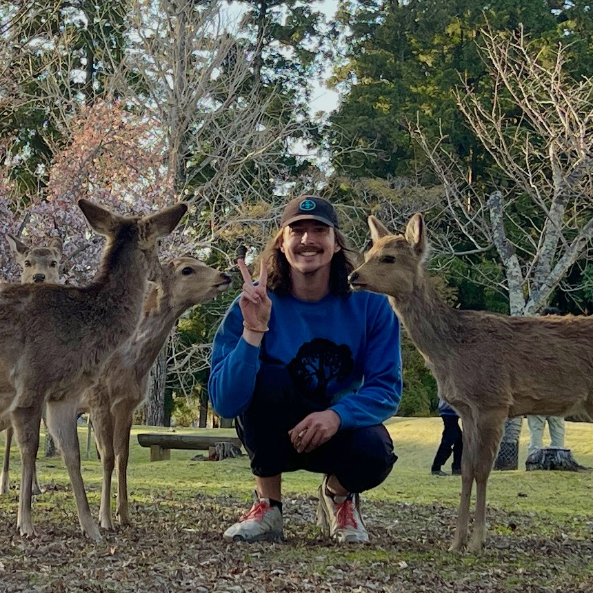 Photo of Deer friends!