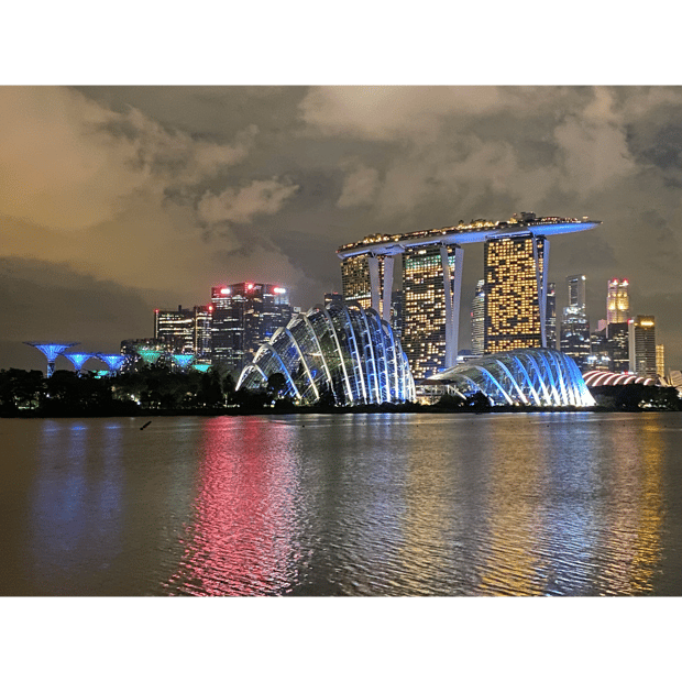 Photo of Panoramic view of Gardens by the Bay