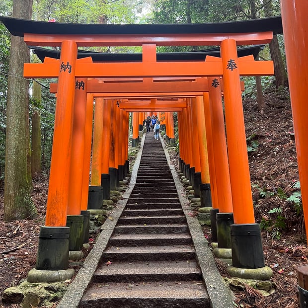 Photo of Torii gates