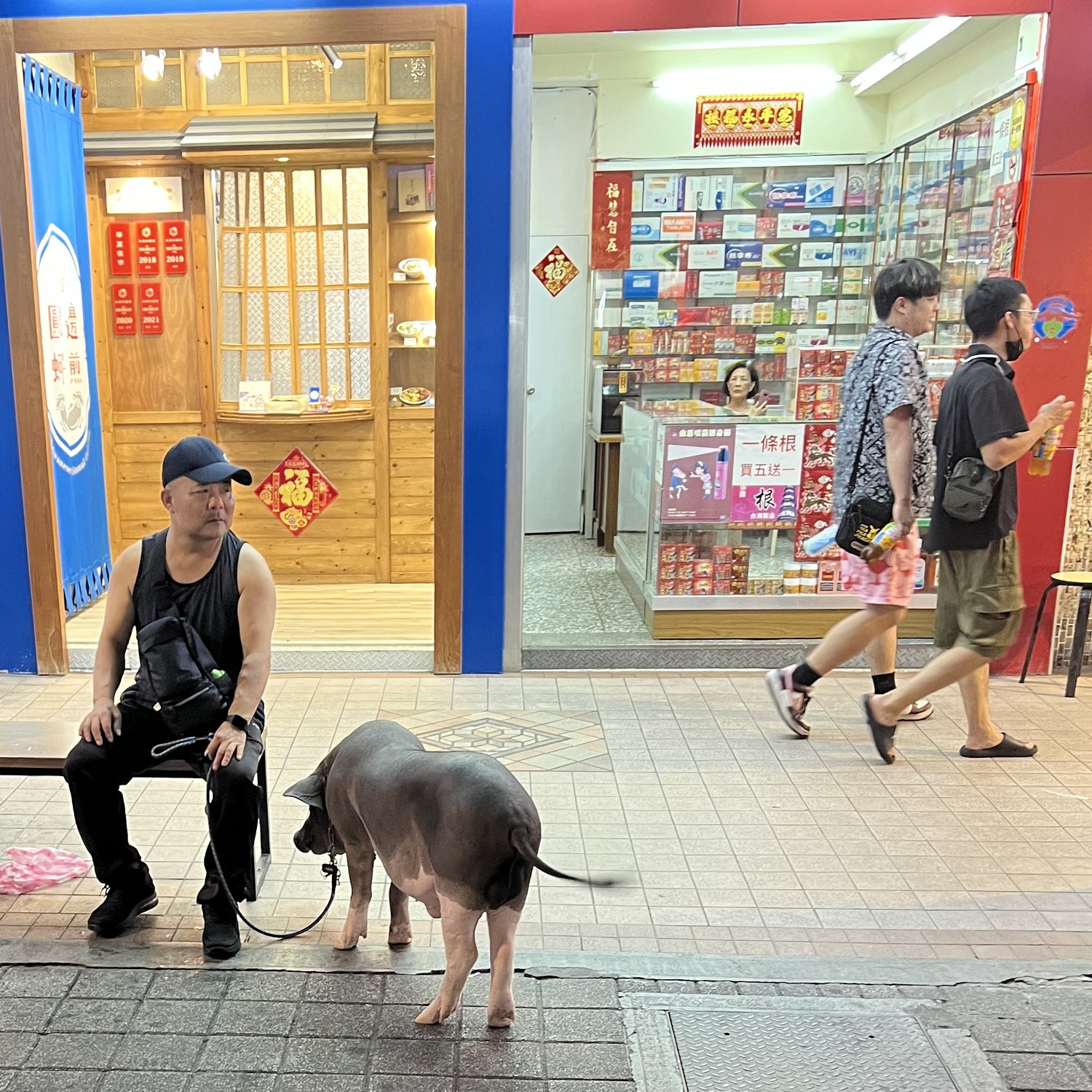 Photo of Man w/ his pet pig 🐷