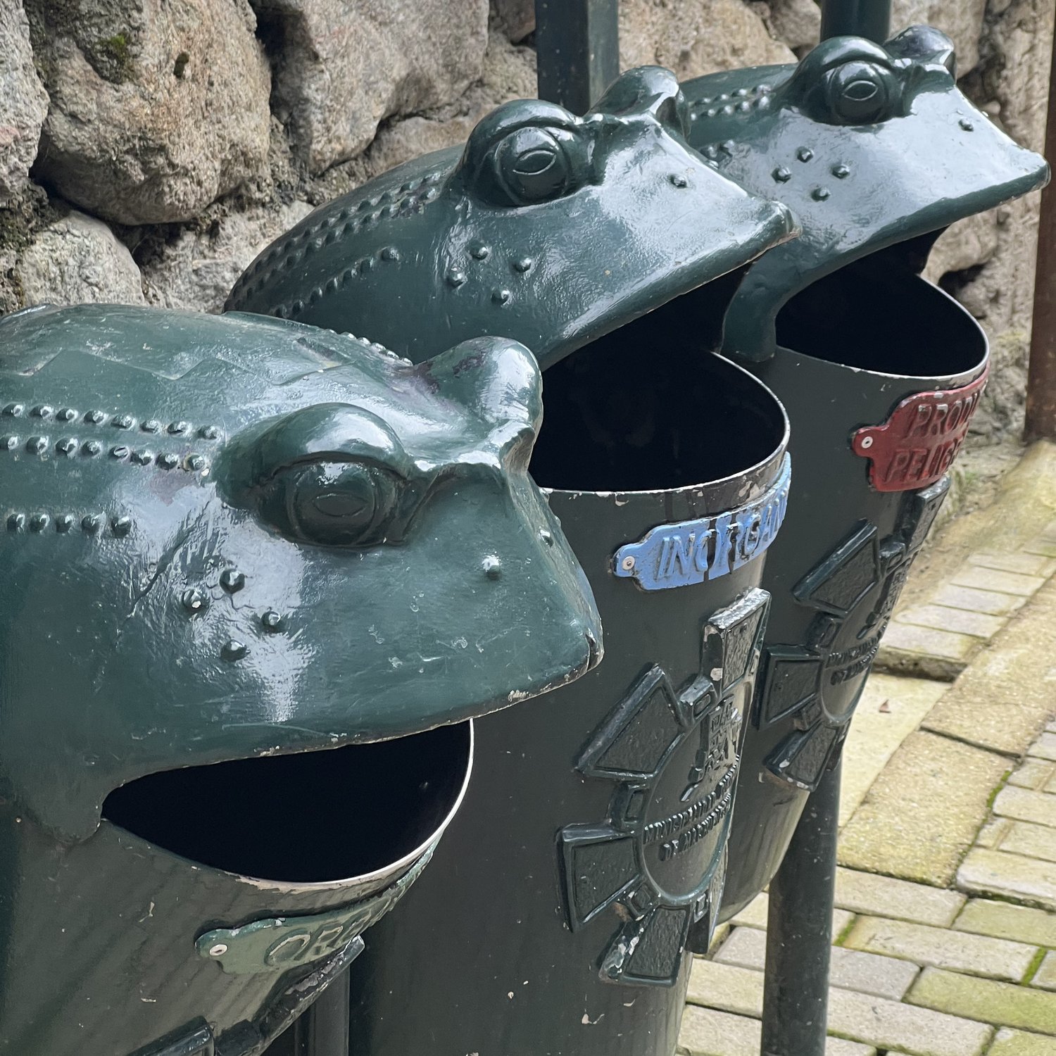 Photo of Funny frog cans