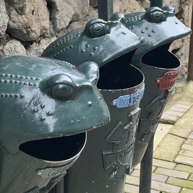 Photo of Funny frog cans
