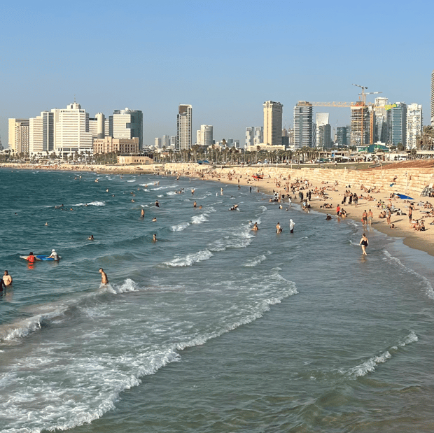 Photo of First look at the Mediterranean