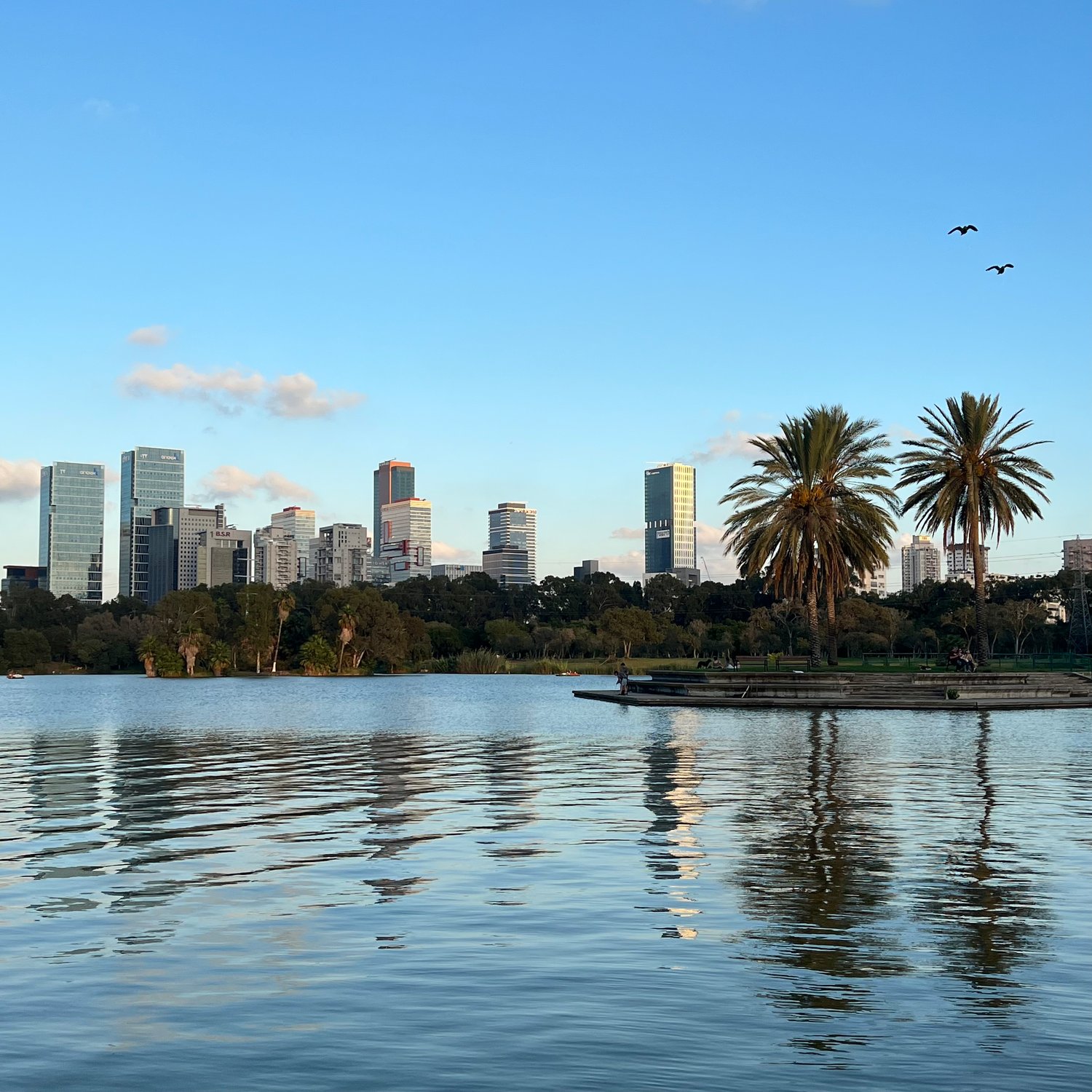 Photo of Yarkon Park