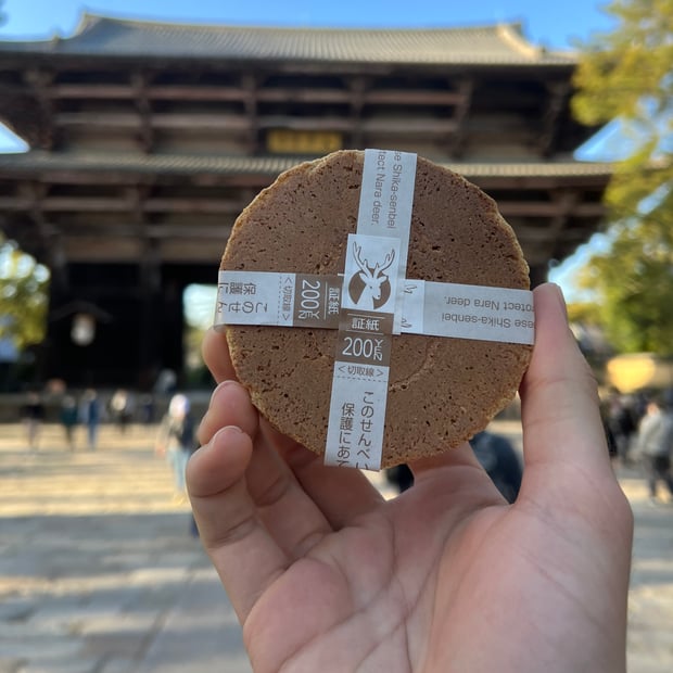 Photo of Nara deer crackers (they taste horrible)