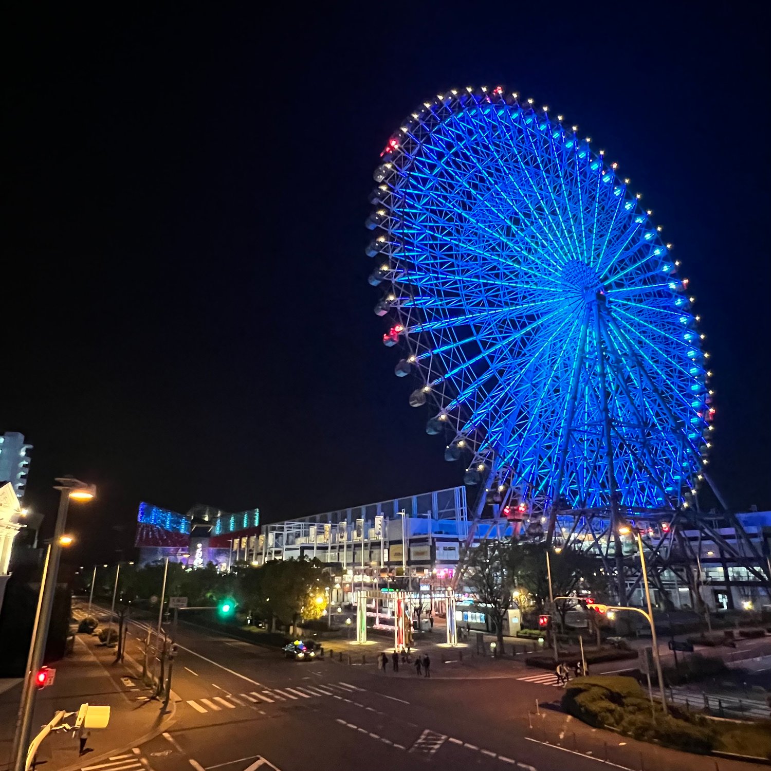 Photo of Ferris wheel near Osaka Aquarium