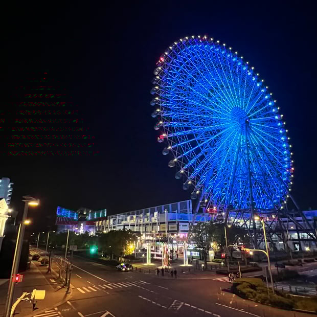 Photo of Ferris wheel near Osaka Aquarium