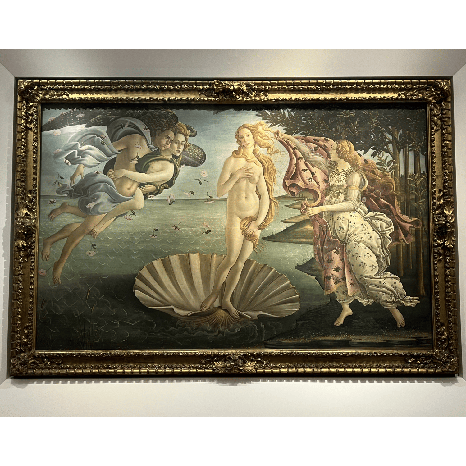 Photo of The Birth of Venus — Botticelli