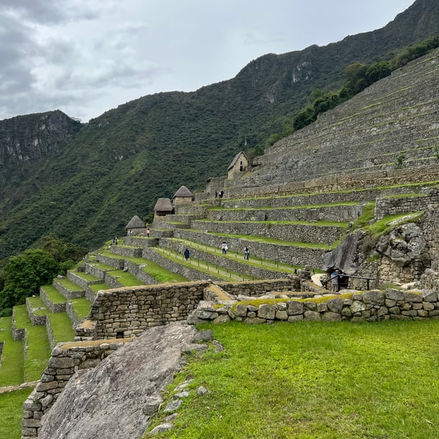 Photo of Terraces up close