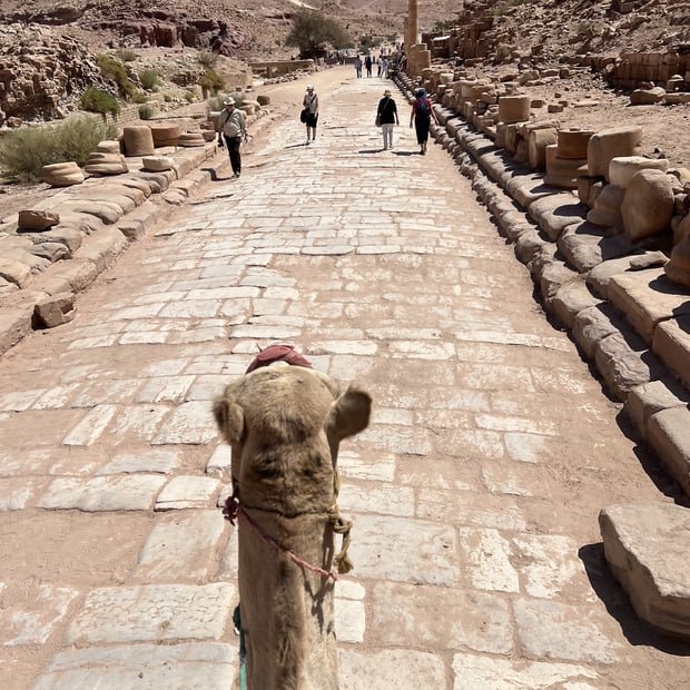 Photo of Camel ride POV