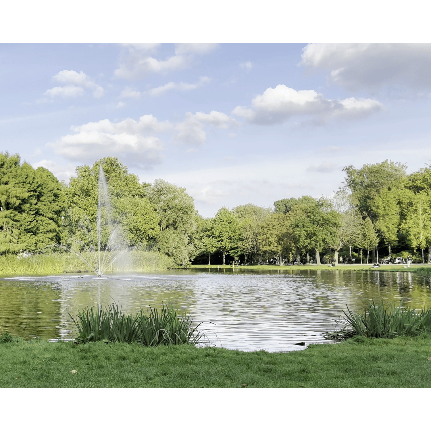 Photo of Vondelpark