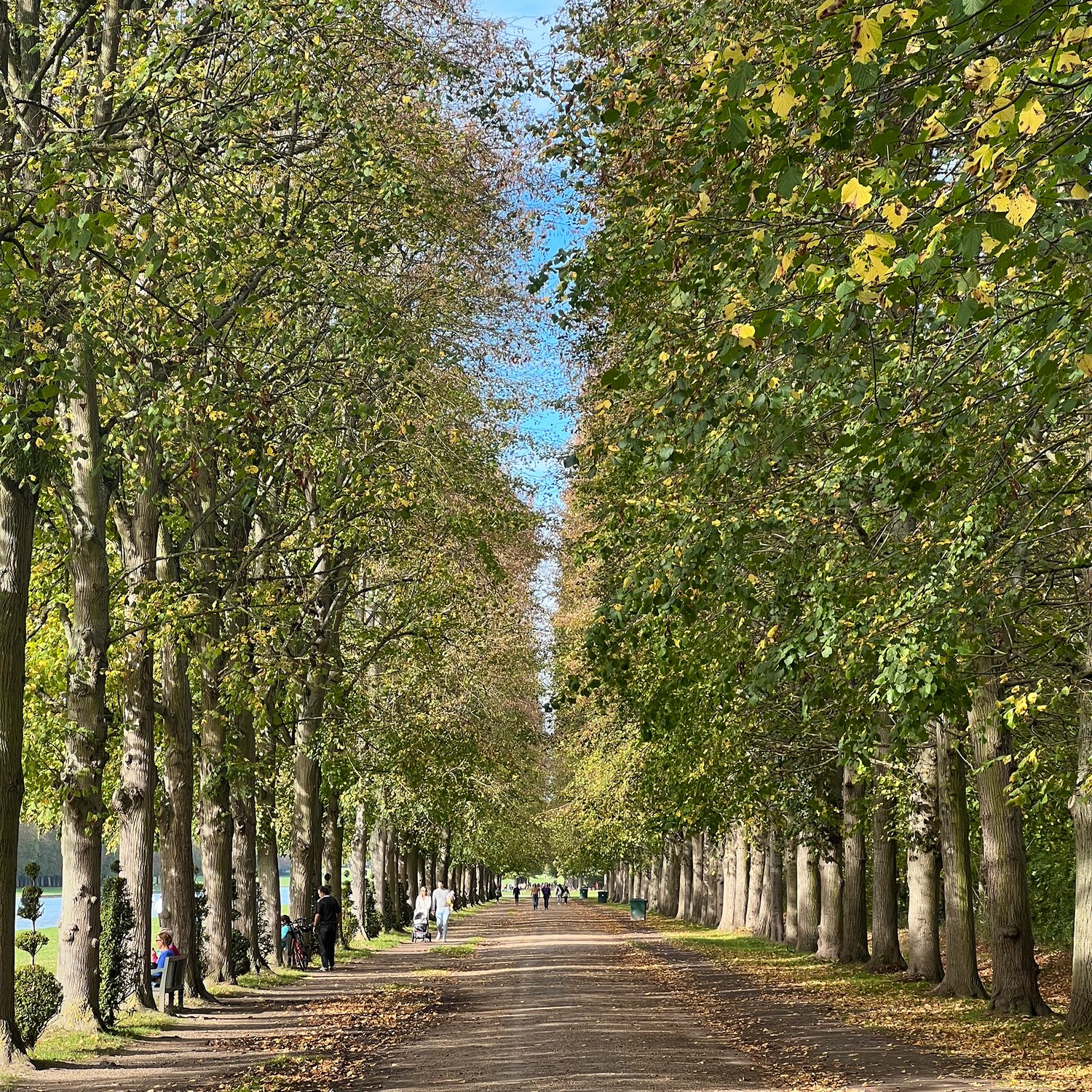 Photo of Gardens of Versailles