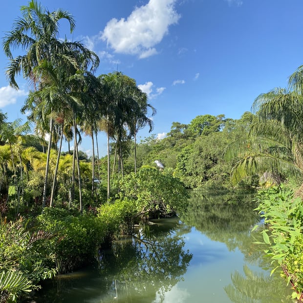 Photo of Pond in Gardens by the Bay