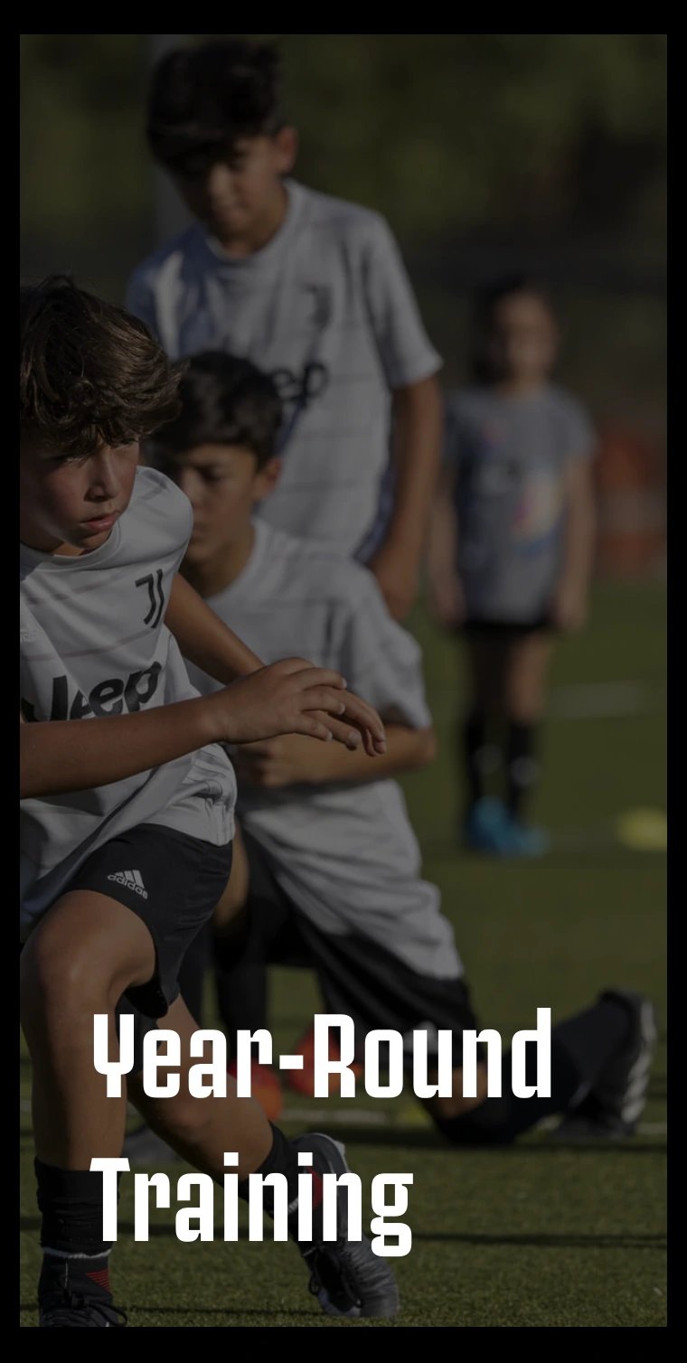 Juventus Academy · Sitio web (8)
