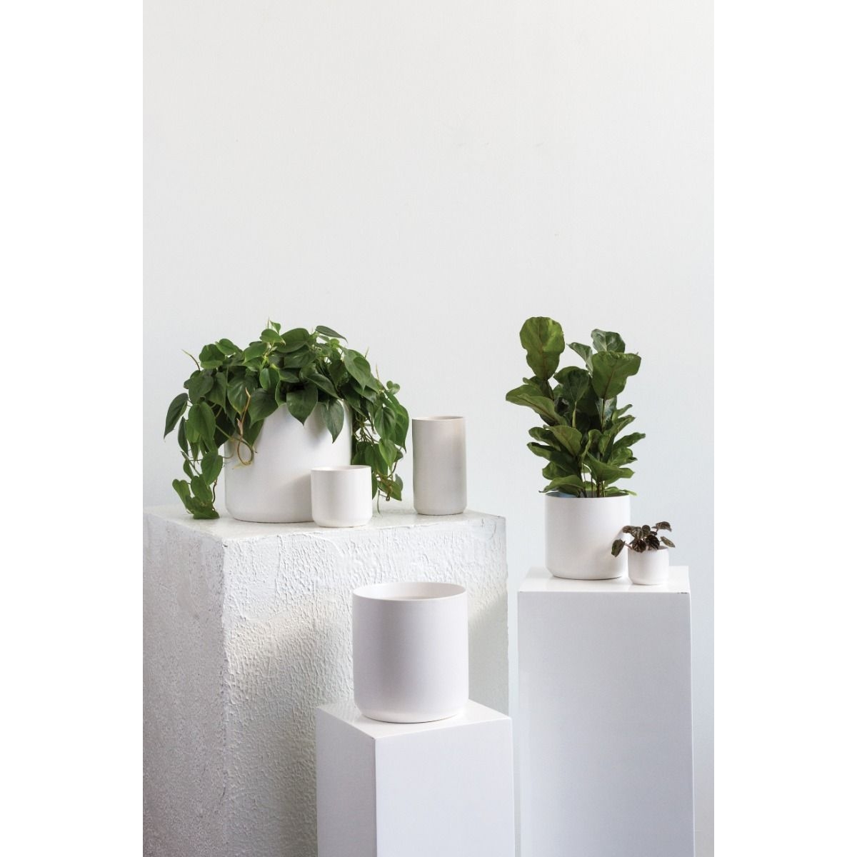 Kendall Collection Ruhlistic Decor Stylish Home Goods & Accents