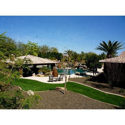 Free Form Swimming Pool Images