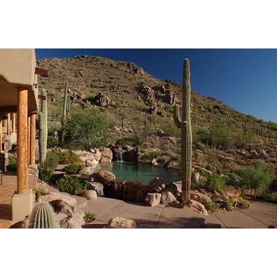 Free Form Swimming Pool Images
