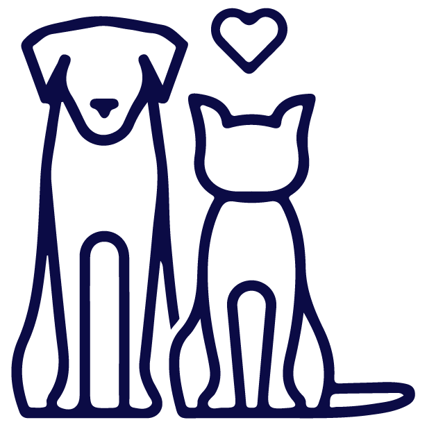 Pet Friendly Community in Dubai Marina,Dubai, UAE Pet Friendly Community in Dubai Marina, Dubai
