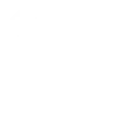 search icon white