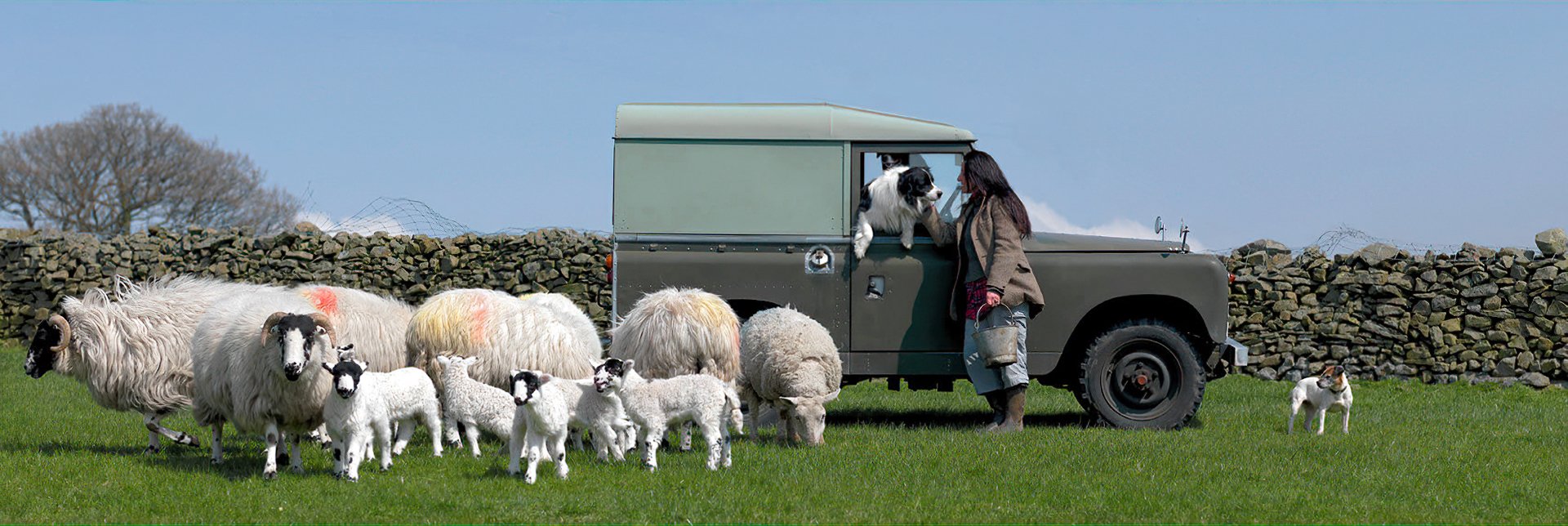 Ian Lawson - Shepherdess Book