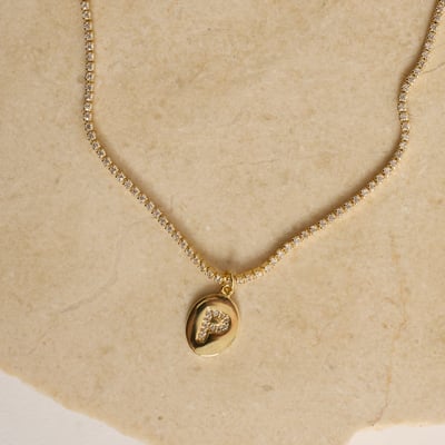 Colar Riviera pingente medalha letra P cravejada 12mm 40cm com alongadora