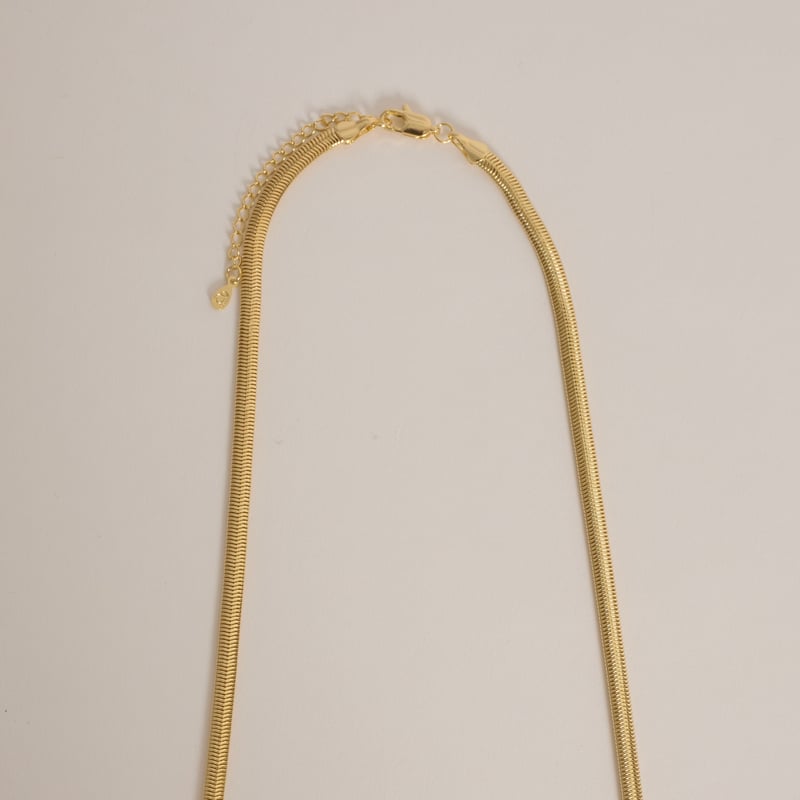 Corrente lacraia 4mm 45cm com alongadora
