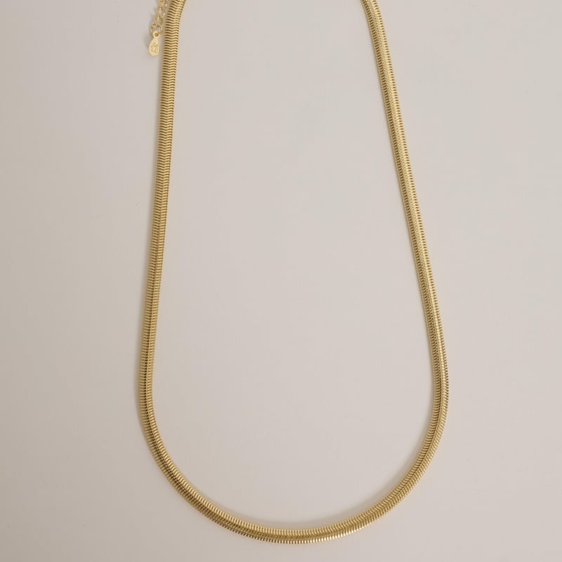 Corrente lacraia 4mm 40cm com alongadora