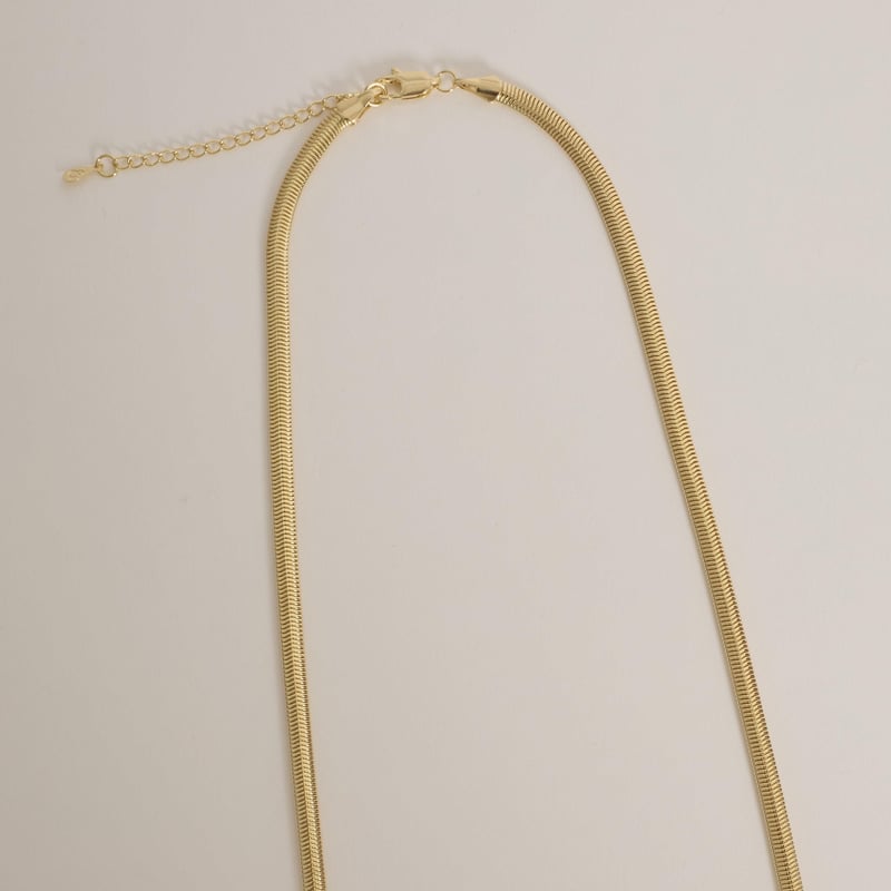 Corrente lacraia 4mm 50cm com alongadora