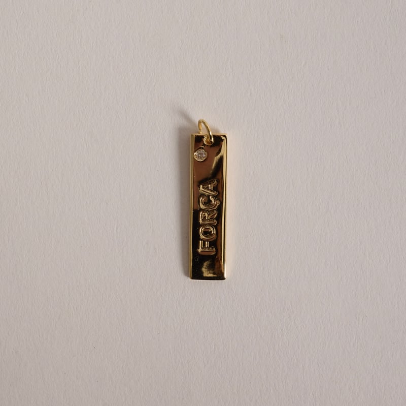 Pingente placa força 29mm detalhe zircônia 