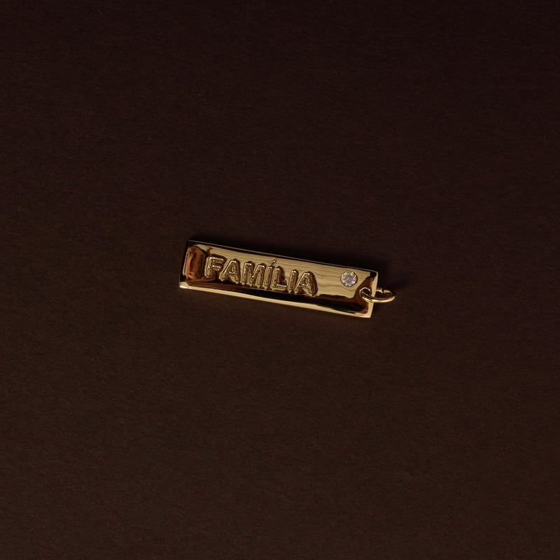 Pingente placa família 29mm detalhe zircônia 