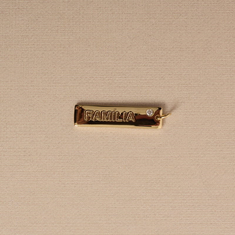 Pingente placa família 29mm detalhe zircônia 