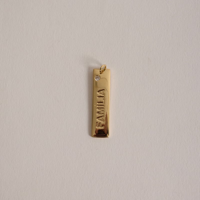 Pingente placa família 29mm detalhe zircônia 