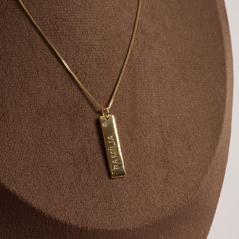 Colar pingente placa família 29mm detalhe zircônia 45cm com alongadora