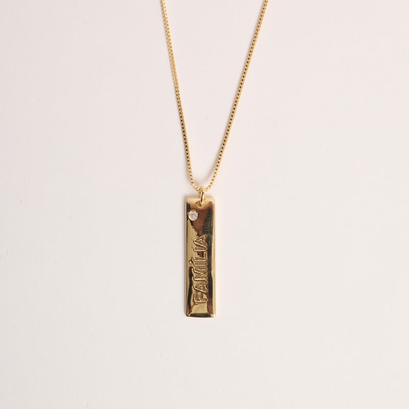 Colar pingente placa família 29mm detalhe zircônia 45cm com alongadora