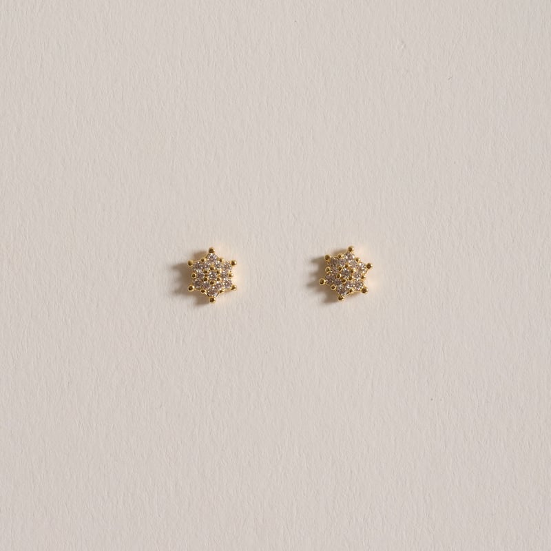 Brinco flor cravejada 6mm