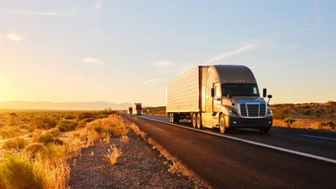 Florida Camioneros Pierden Licencias Tras Operativo Lingüístico y Migratorio