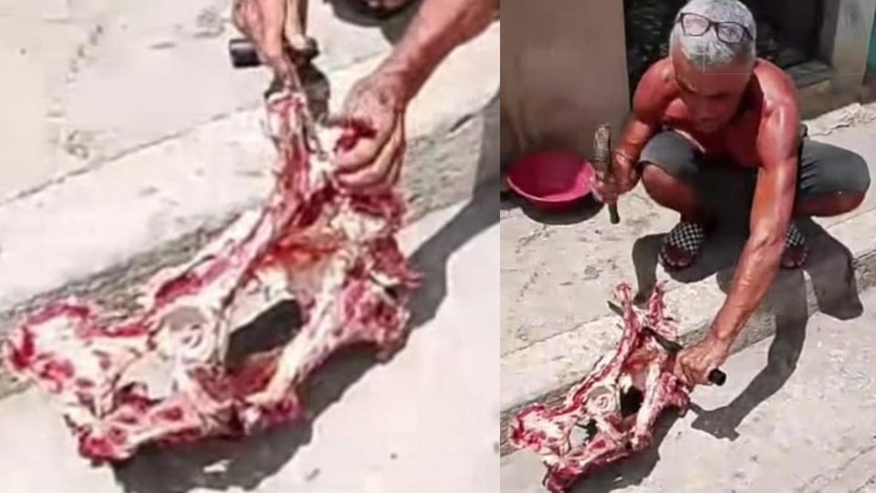 ¿Huesos pa' comer? ¡Mira lo que está pasando en Matanzas!