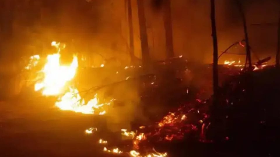 Incendios Forestales en Pinar del Río: Más de 500 Hectáreas Devoradas por el Fuego