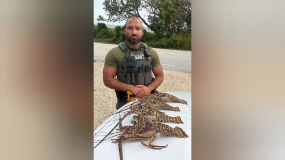 ¿Te comiste la langosta prohibida? Buzo en Florida pillao' con más de la cuenta