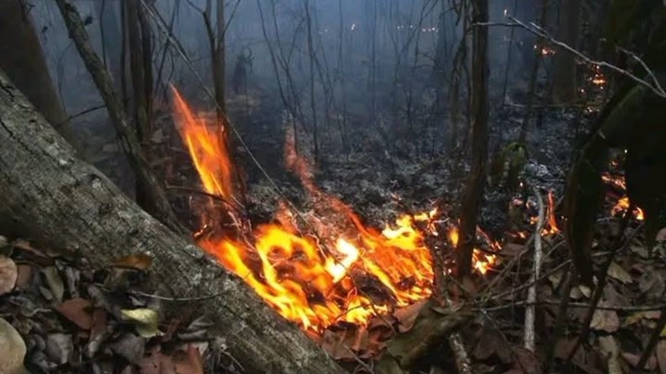 ¡Fuego en la reserva! El Alejandro de Humboldt arde por culpa de quién sabe qué